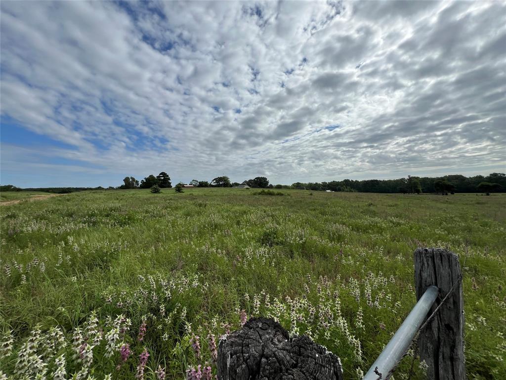 1130 Vz County Road 4106 Property Photo 15