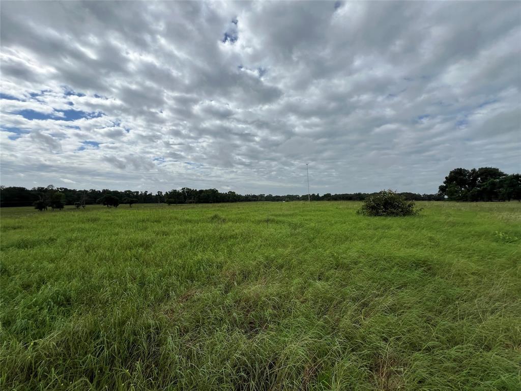 1130 Vz County Road 4106 Property Photo 16