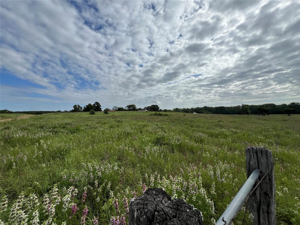 1130 Vz County Road 4106 Property Photo 17