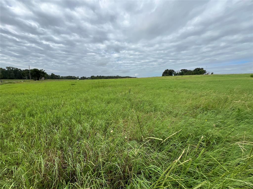 1130 Vz County Road 4106 Property Photo 19