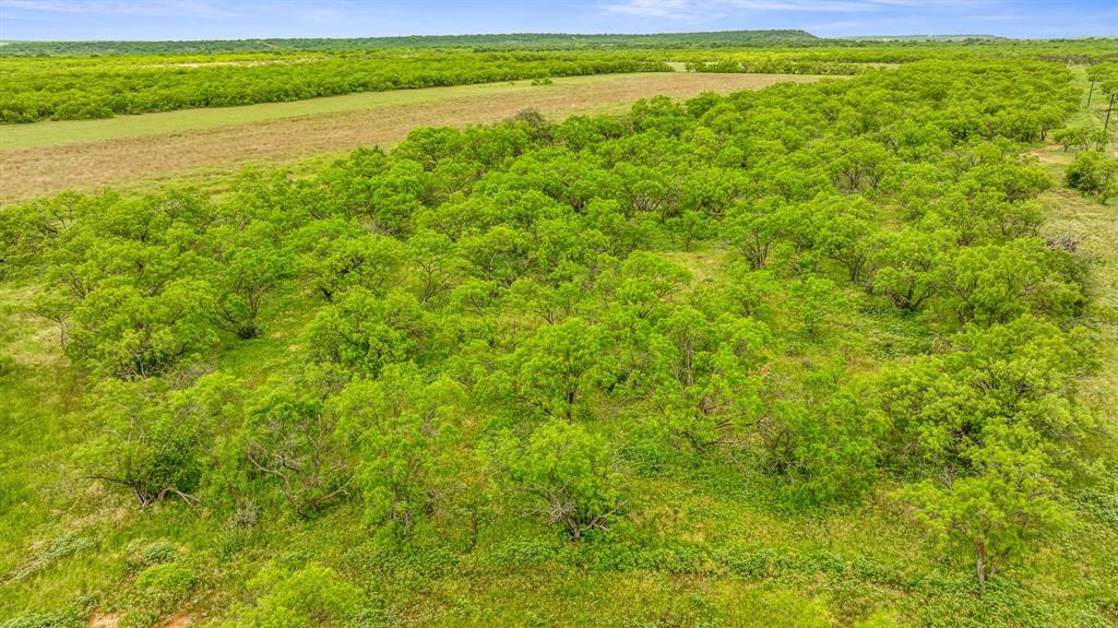 5751 Fm 3418 Property Photo 24