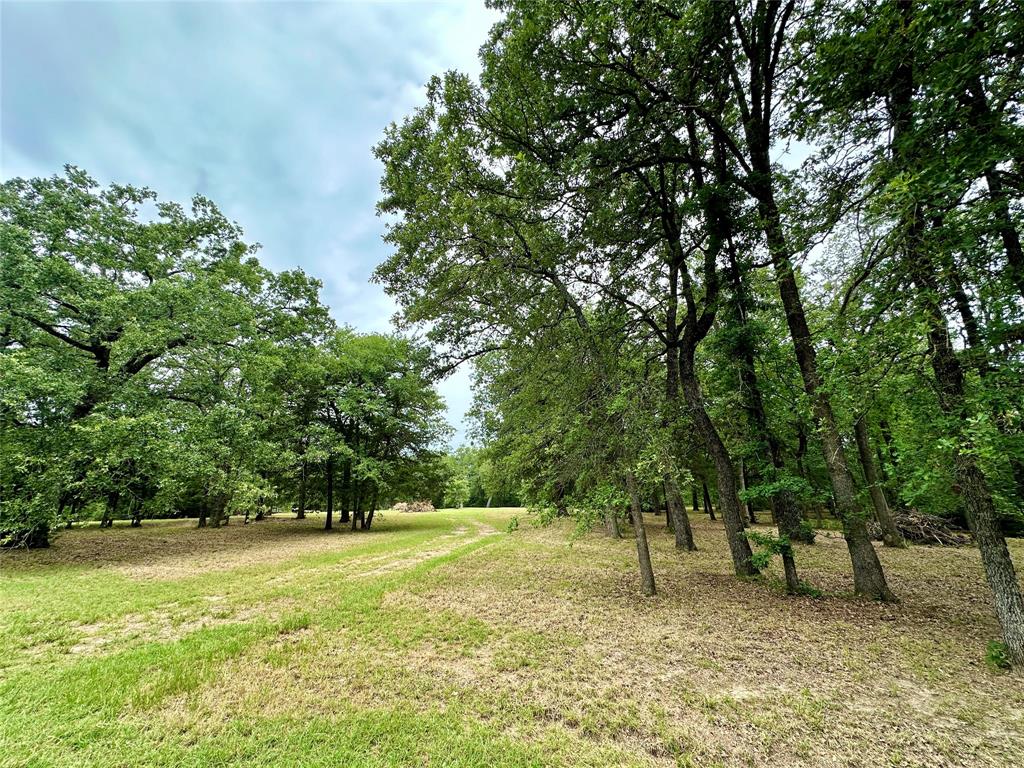 3001 Rock Road Property Photo 16