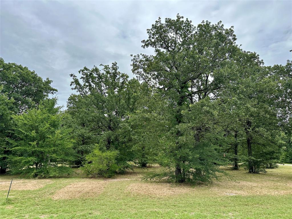 3001 Rock Road Property Photo 22