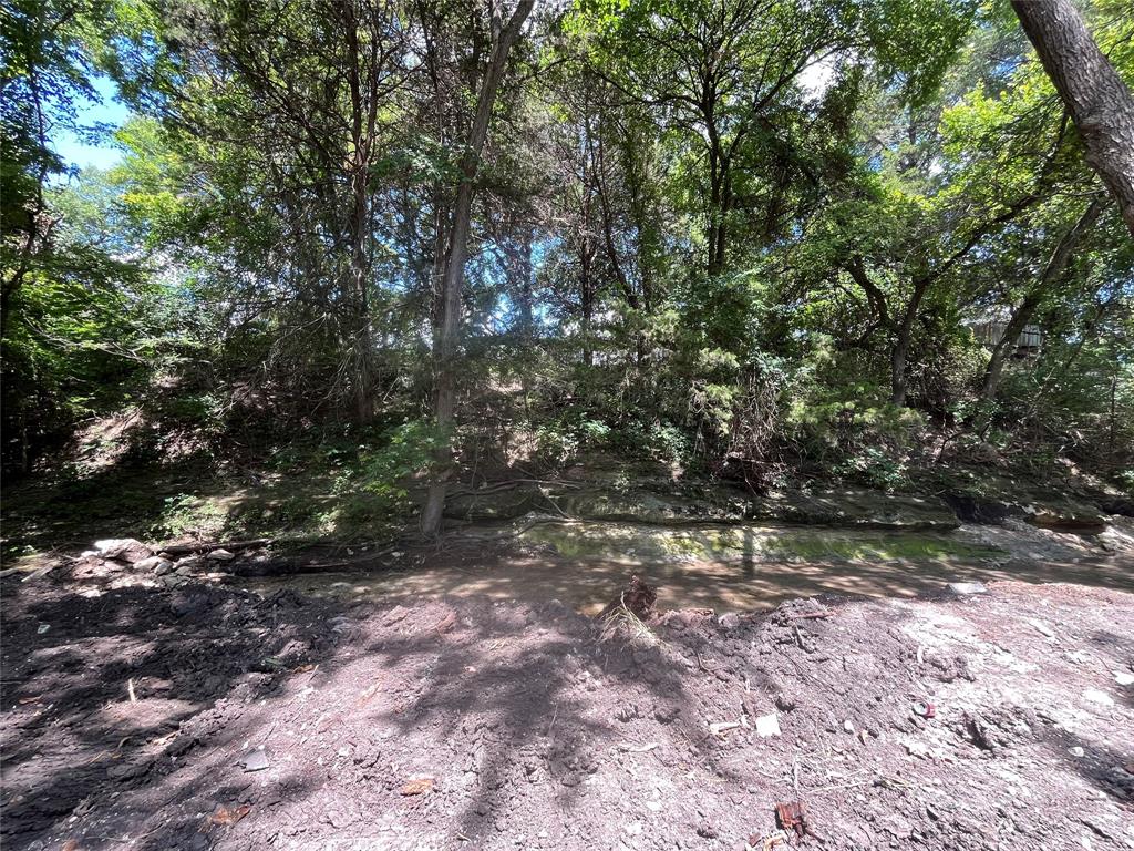 7260 Spring Branch Road Property Photo 9