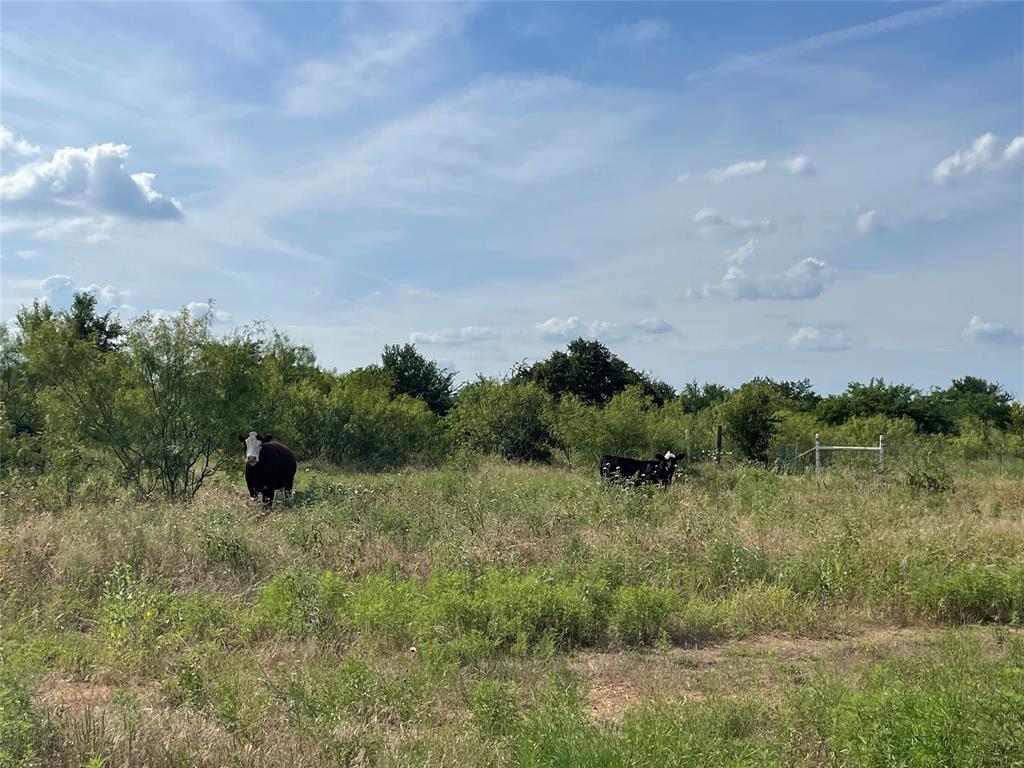Tbd Fm-1658 Property Photo 1