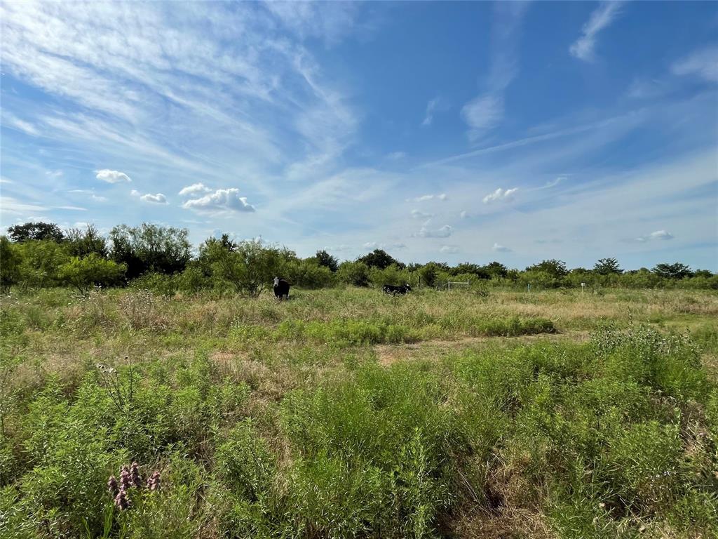 Tbd Fm-1658 Property Photo 2
