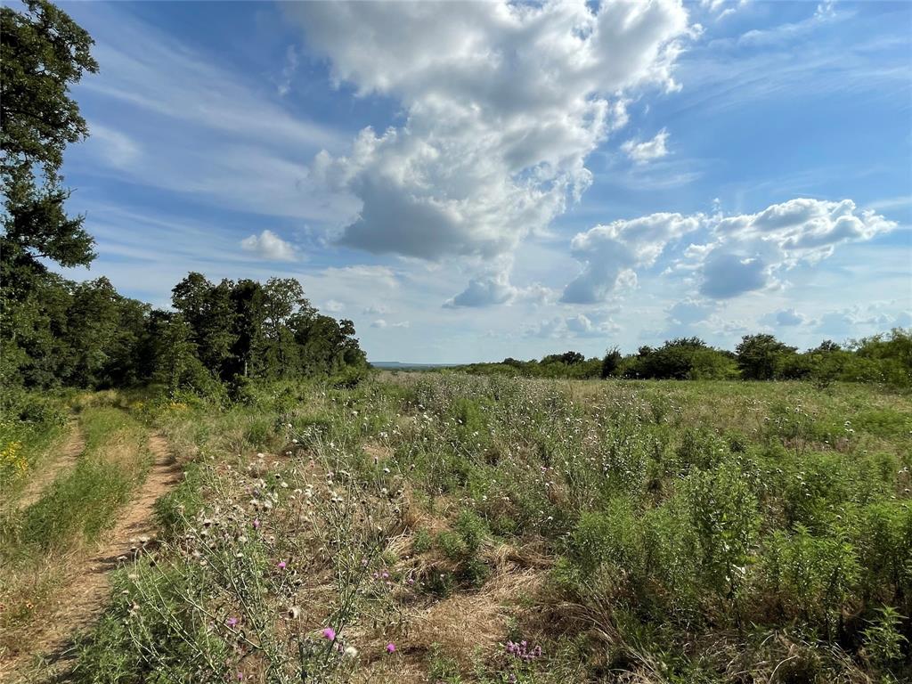 Tbd Fm-1658 Property Photo 3