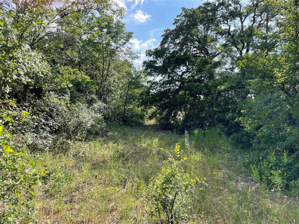 Tbd Fm-1658 Property Photo 4