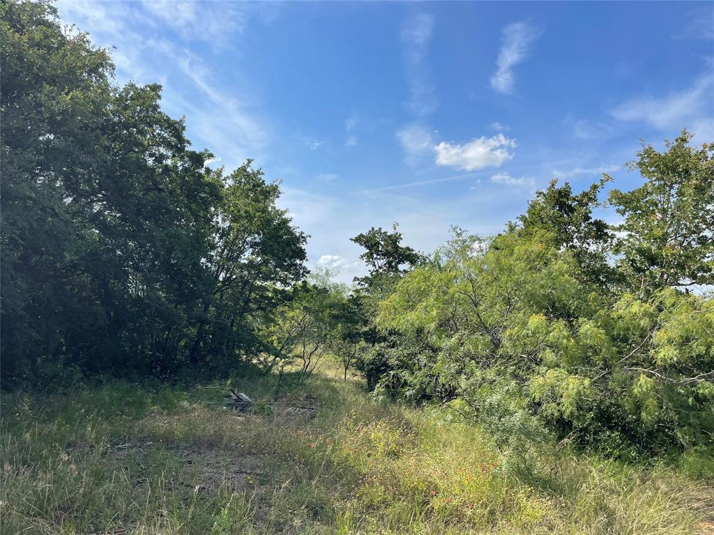 Tbd Fm-1658 Property Photo 7