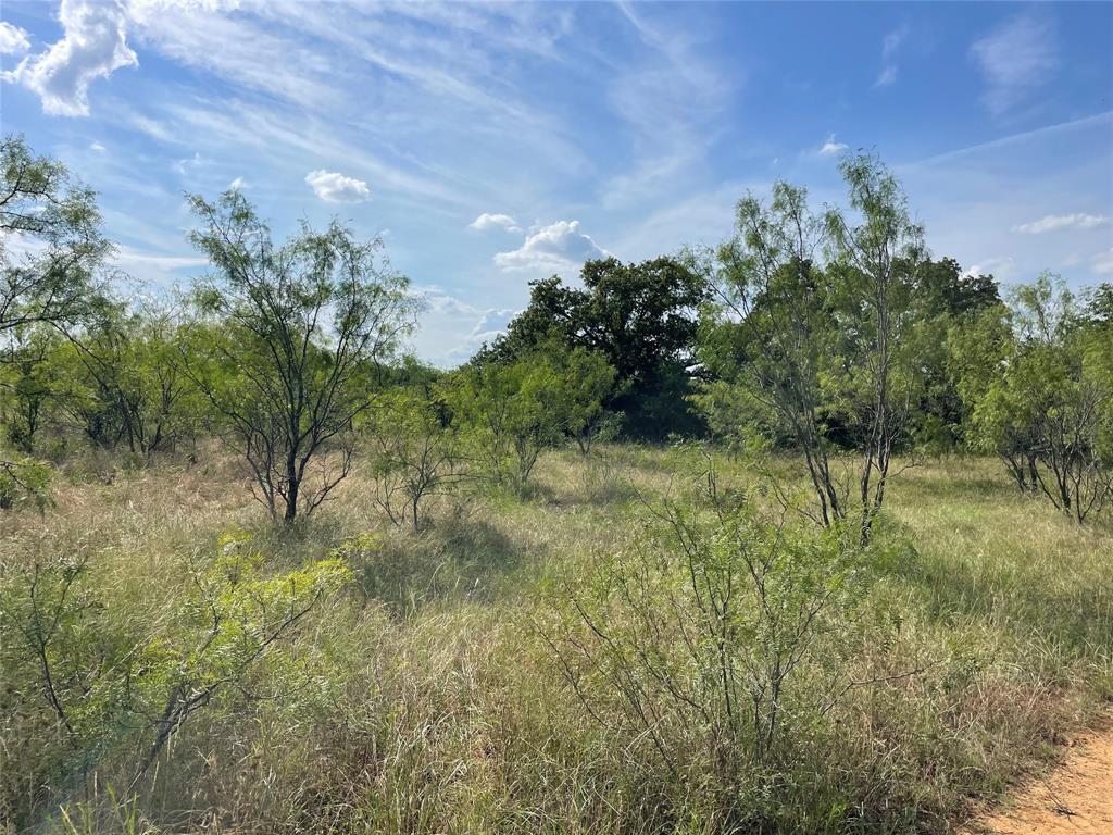 Tbd Fm-1658 Property Photo 8