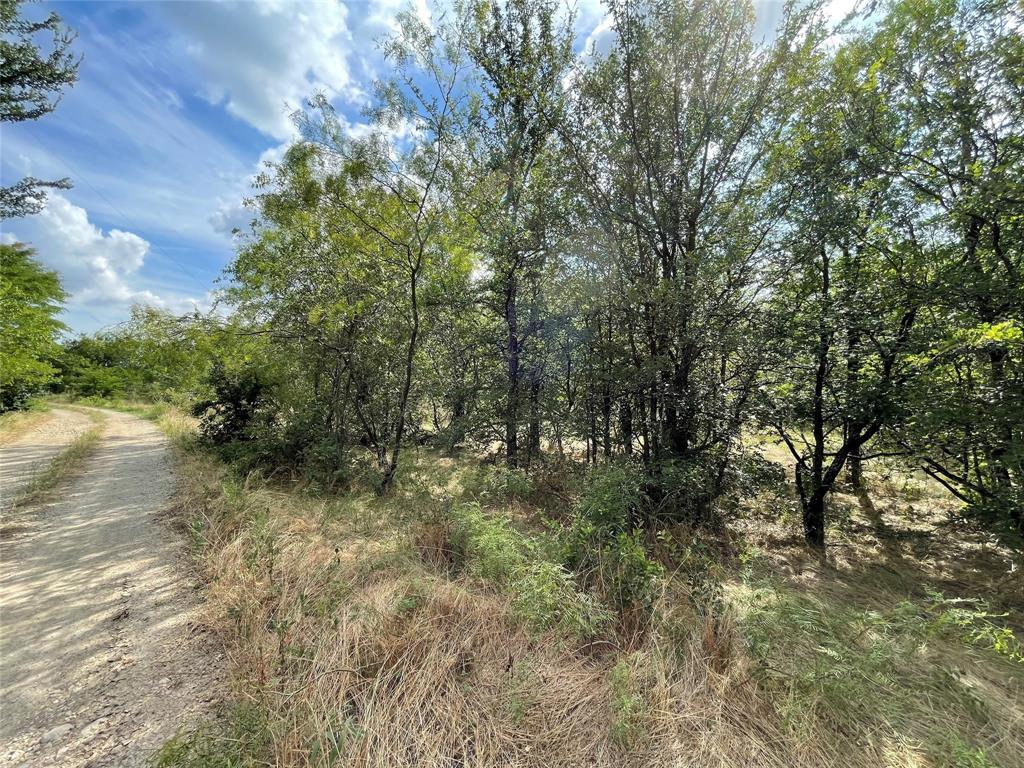 Tbd Fm-1658 Property Photo 11