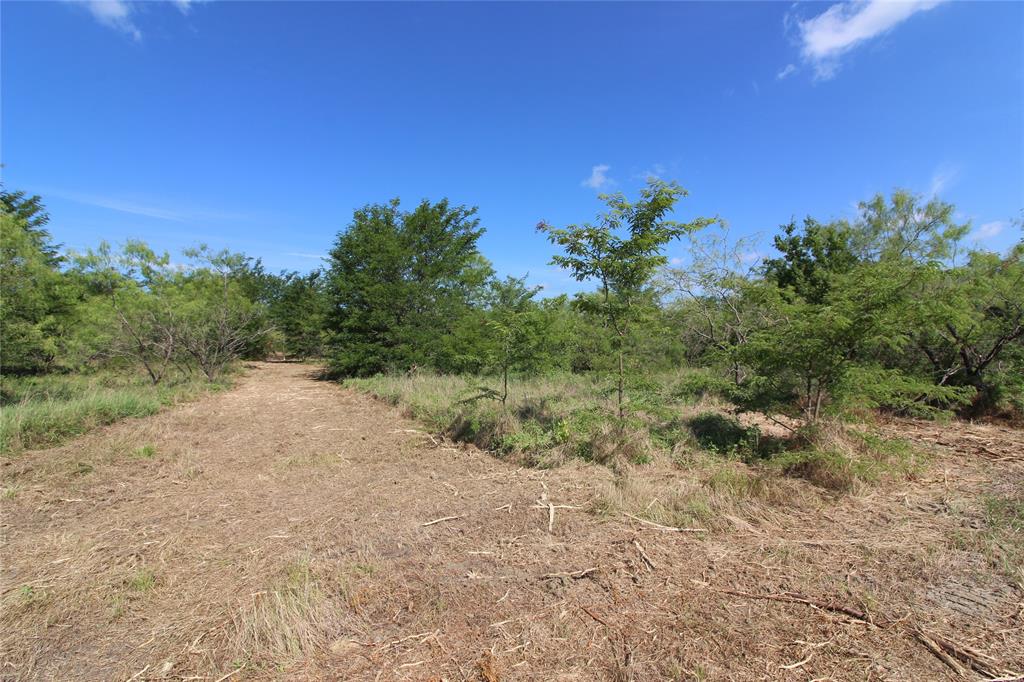 Tbd Lot 4 County Road 146 Property Photo 4