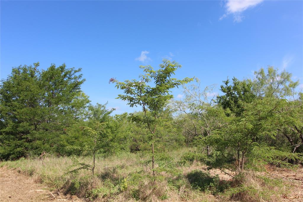 Tbd Lot 4 County Road 146 Property Photo 6