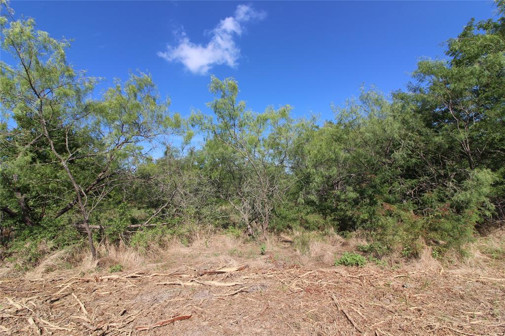 Tbd Lot 4 County Road 146 Property Photo 7