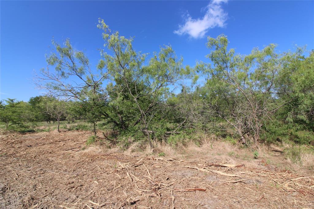 Tbd Lot 4 County Road 146 Property Photo 9