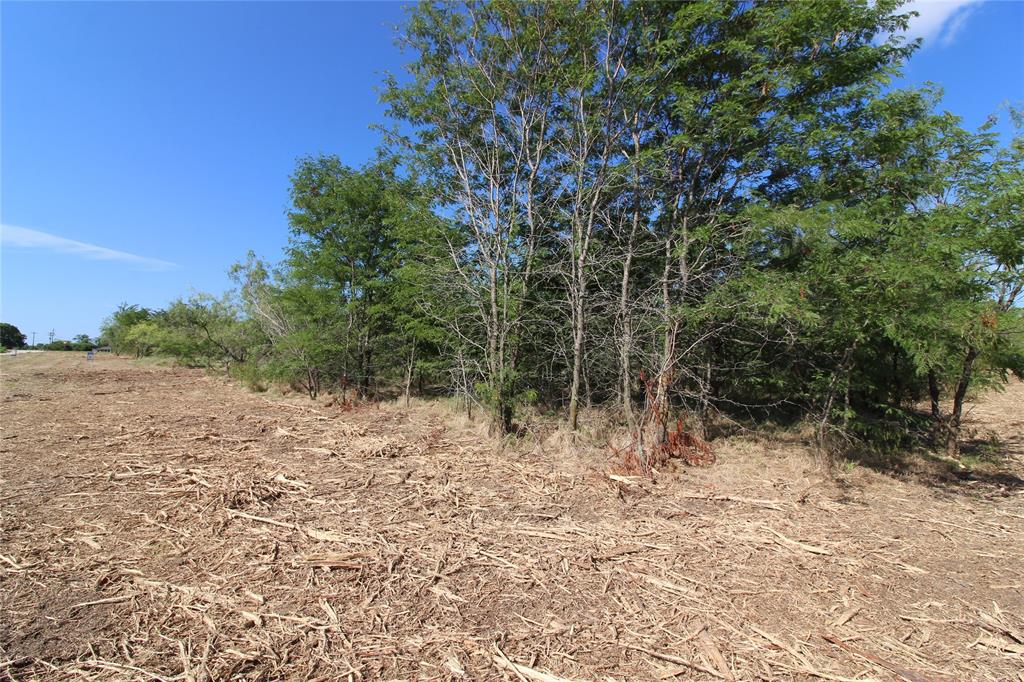 Tbd Lot 4 County Road 146 Property Photo 10
