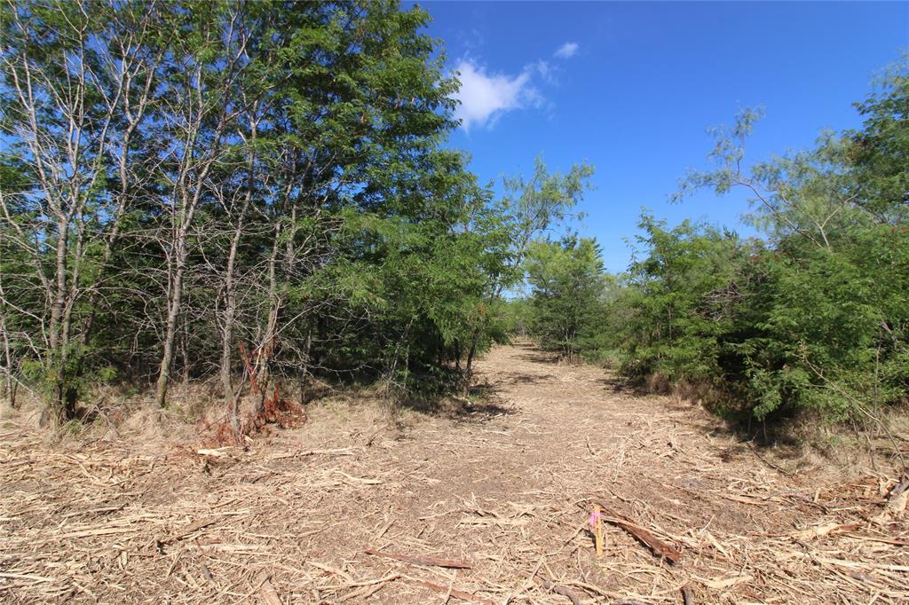 Tbd Lot 4 County Road 146 Property Photo 11
