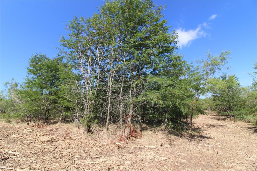 Tbd Lot 4 County Road 146 Property Photo 12