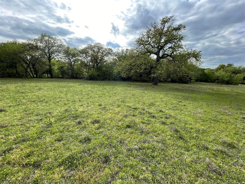 1037 Gonzollas Road Property Photo 1