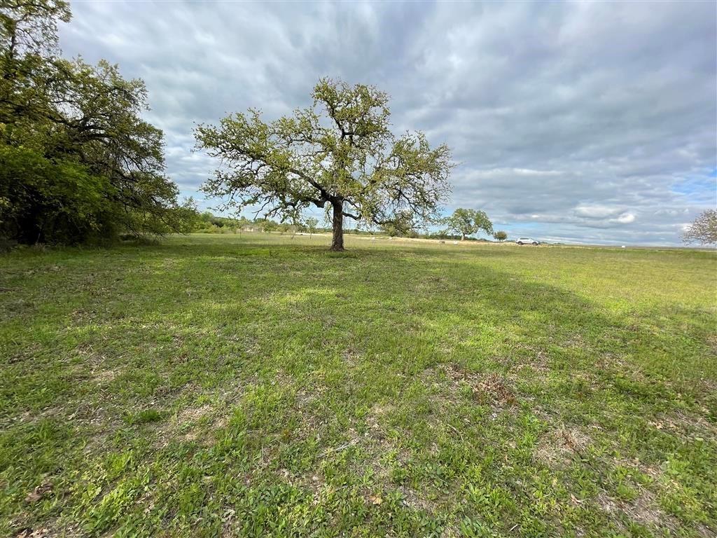 1037 Gonzollas Road Property Photo 2