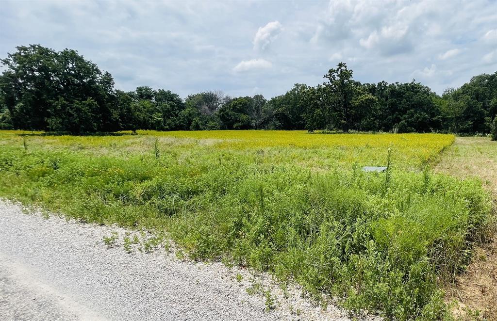 1037 Gonzollas Road Property Photo 10