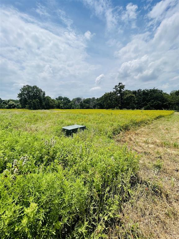 1037 Gonzollas Road Property Photo 11