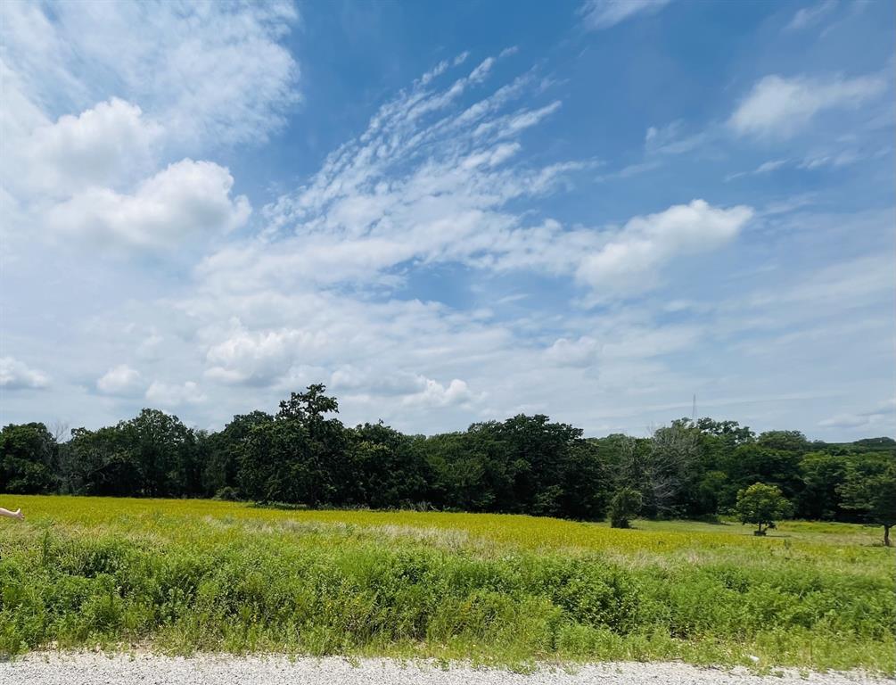 1037 Gonzollas Road Property Photo 15
