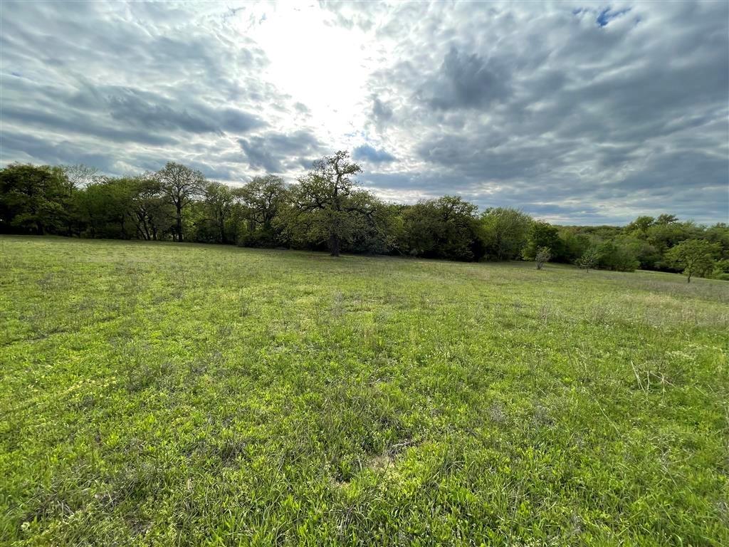 1037 Gonzollas Road Property Photo 17