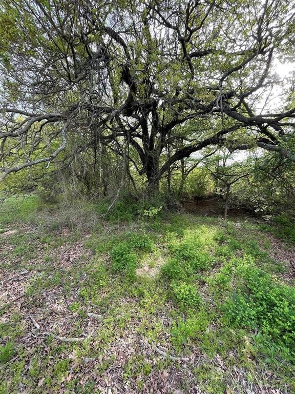 1037 Gonzollas Road Property Photo 19