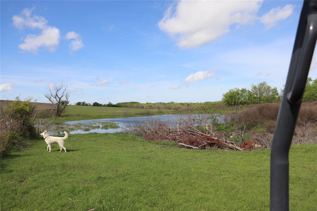 Tbd County Road 1226 Property Photo 7