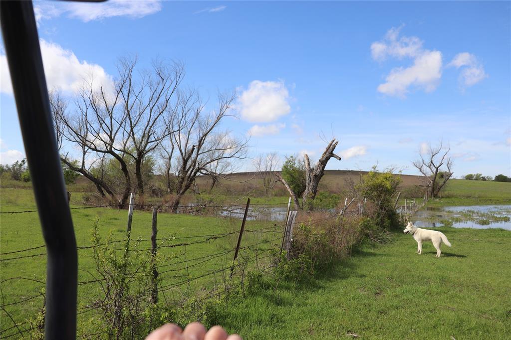 Tbd County Road 1226 Property Photo 15