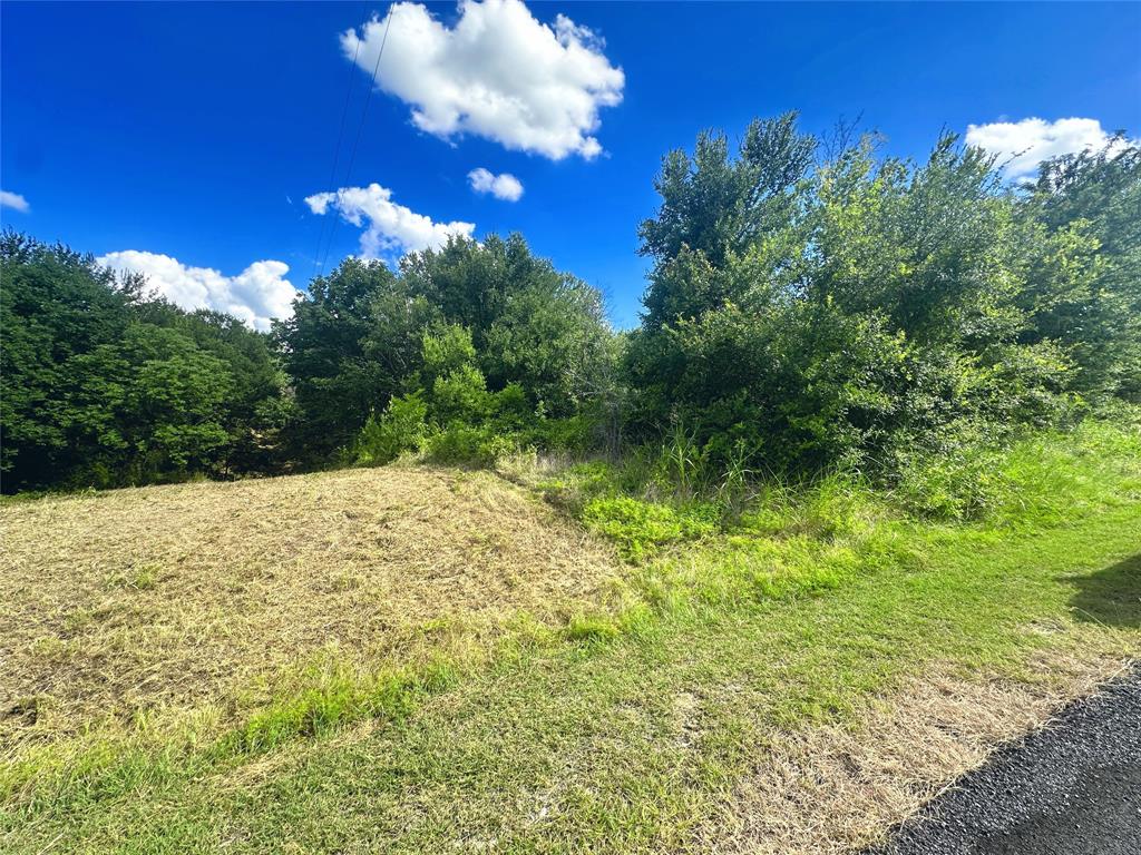 Lots 47 & 79 Bluffview Estates Road Property Photo 5