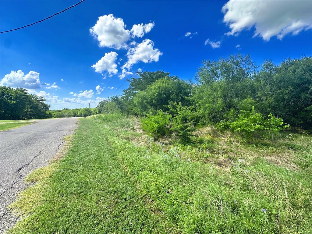 Lots 47 & 79 Bluffview Estates Road Property Photo 7