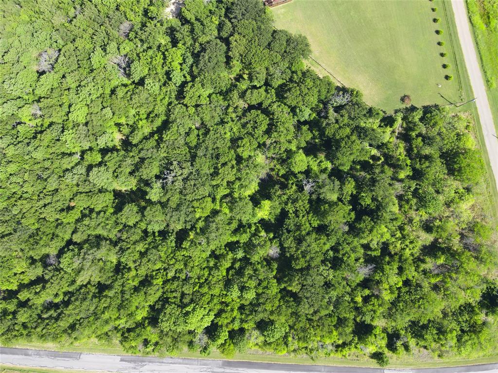 Lots 47 & 79 Bluffview Estates Road Property Photo 10