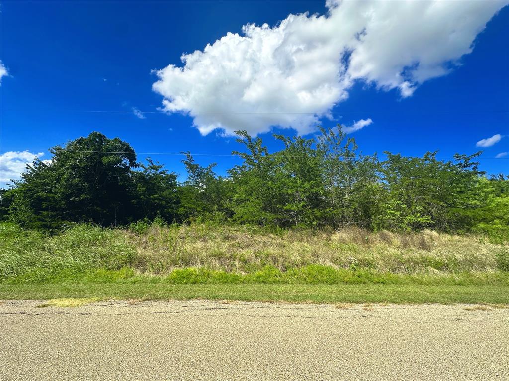 Lots 47 & 79 Bluffview Estates Road Property Photo 13