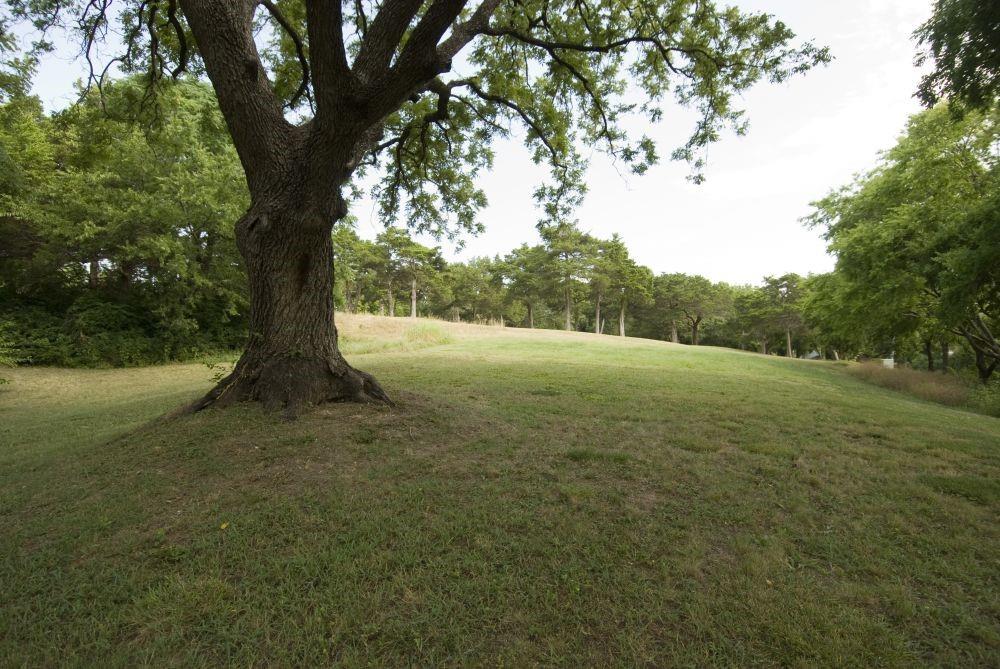5500 Cedar Ridge Drive Property Photo