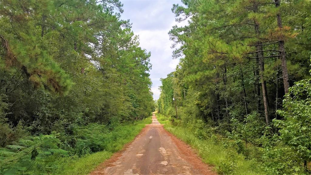 Lot 1 Friar Tuck Drive Property Photo