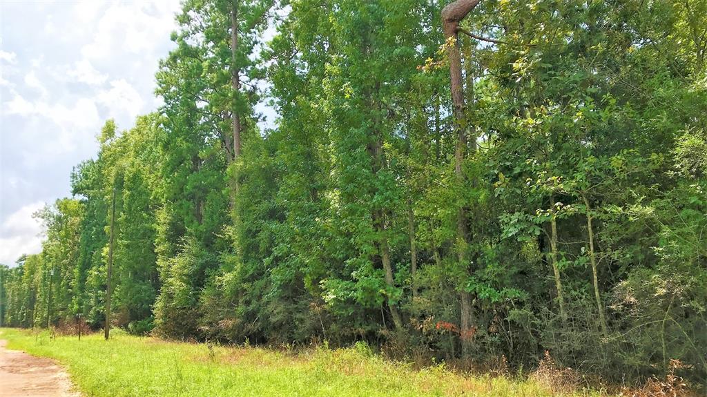 Lot 2 Friar Tuck Drive Property Photo 2