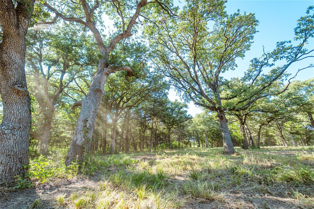 Lot 6 Cr 297 Property Photo 1