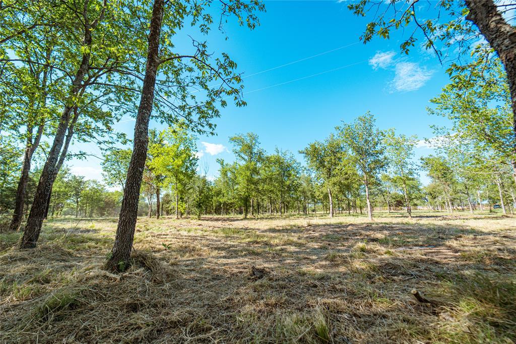 Lot 6 Cr 297 Property Photo 7