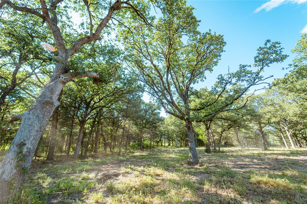 Lot 6 Cr 297 Property Photo 11