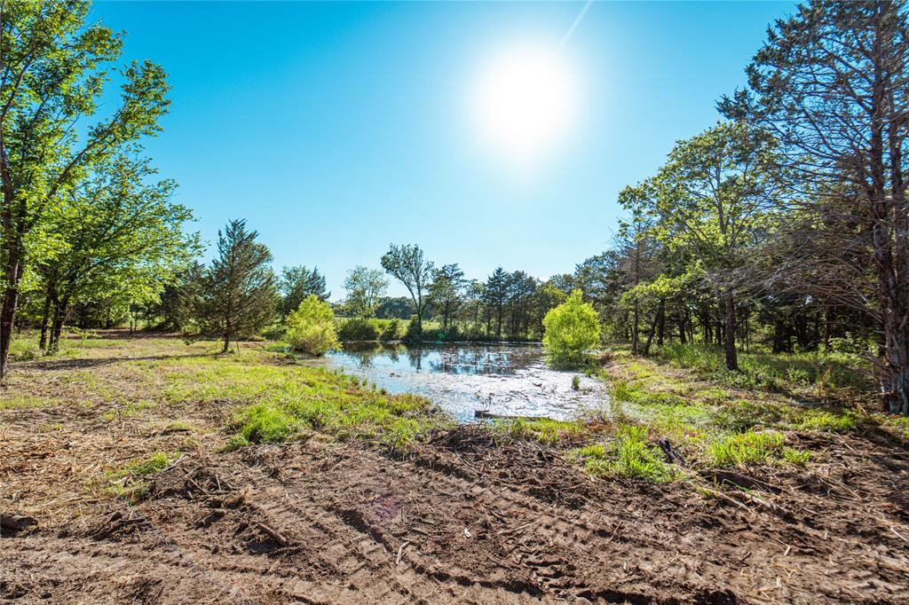 Lot 6 Cr 297 Property Photo 14