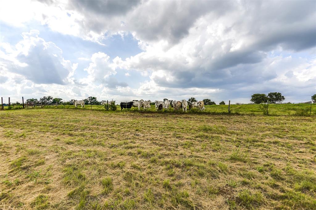 1145a Hill County Road 1458 Property Photo 18