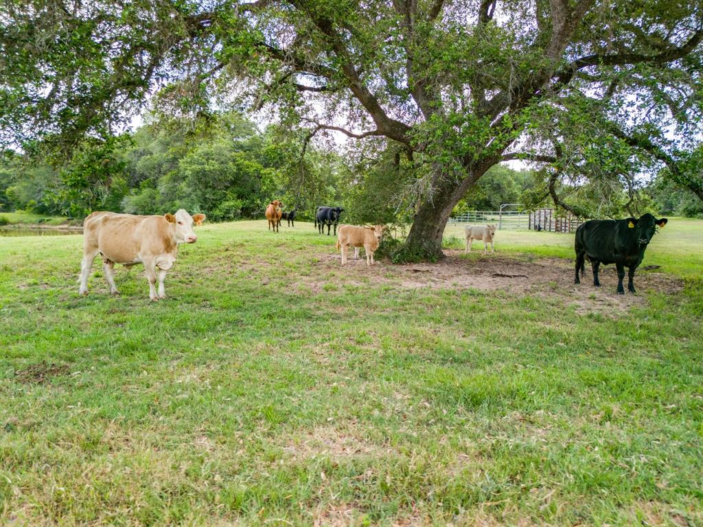 0000 Tbd 552.77 Ac Property Photo 32