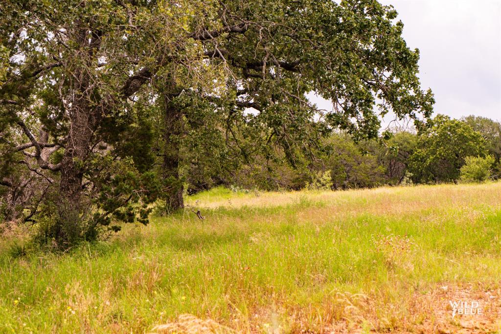 2170 River Shoals Road Property Photo 30