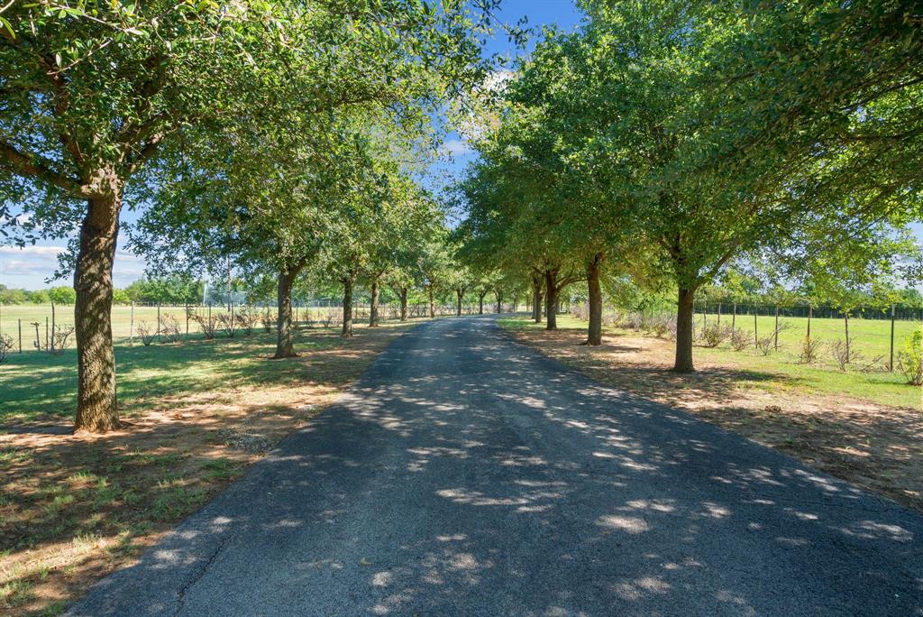 31772 W Fm 8 Property Photo 8