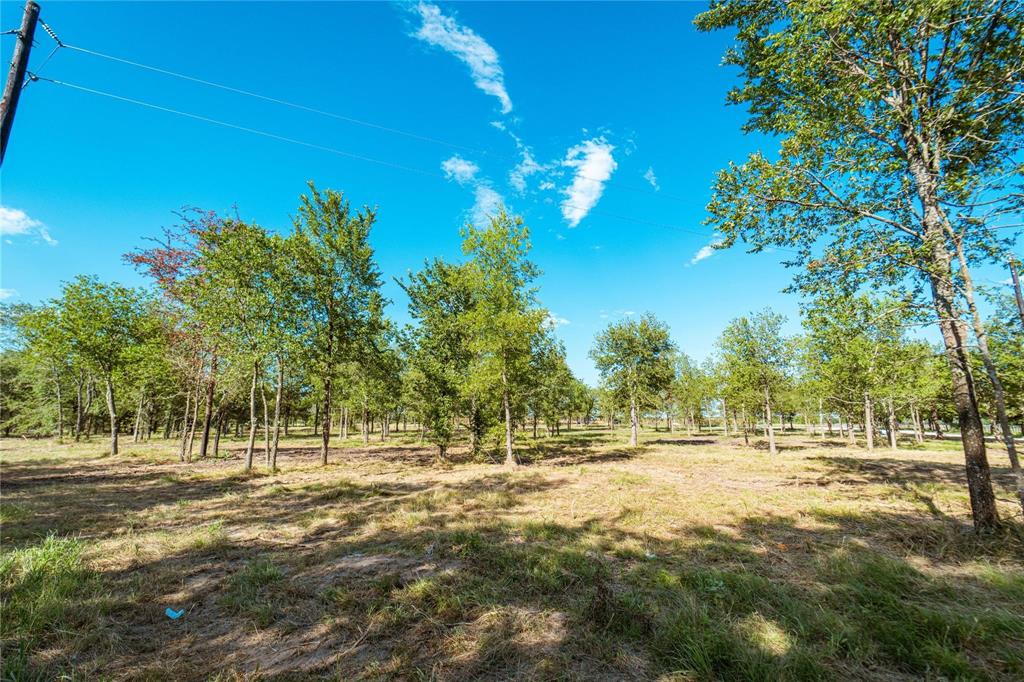 Lot 3 Cr 297 Property Photo 3