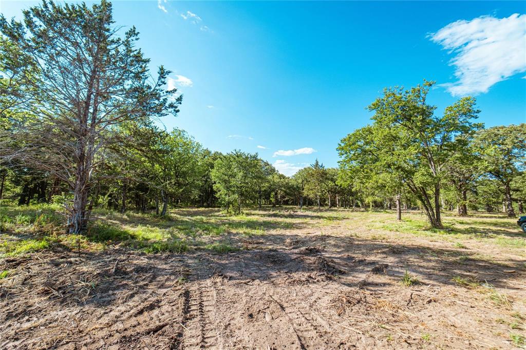 Lot 3 Cr 297 Property Photo 5