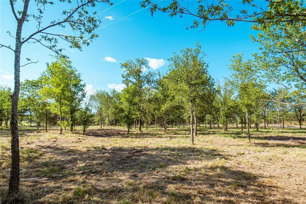 Lot 3 Cr 297 Property Photo 7