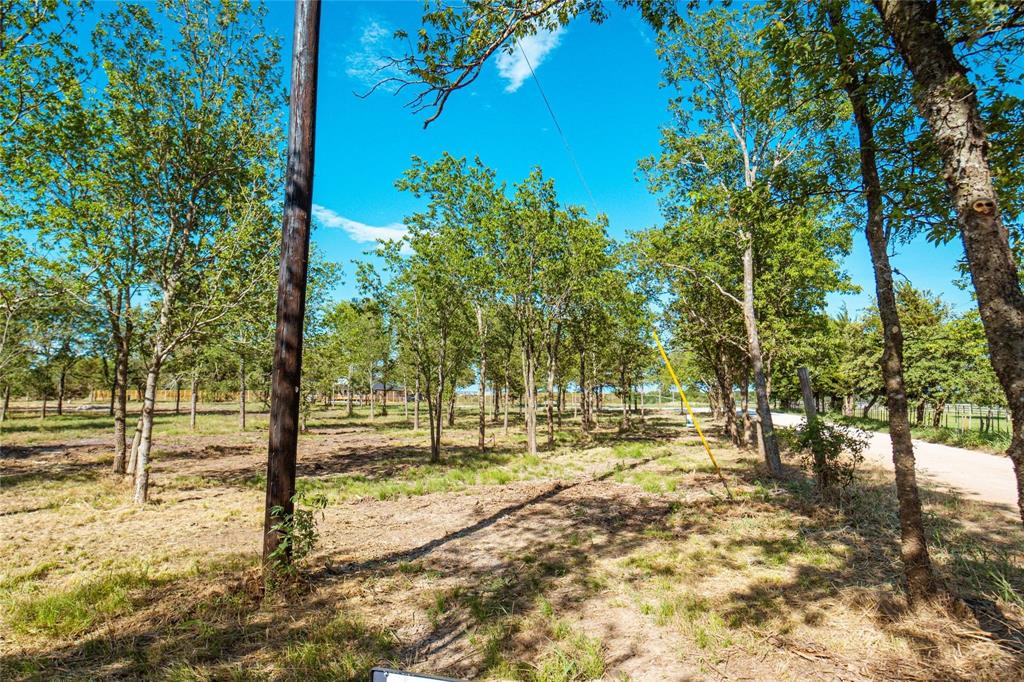 Lot 3 Cr 297 Property Photo 8